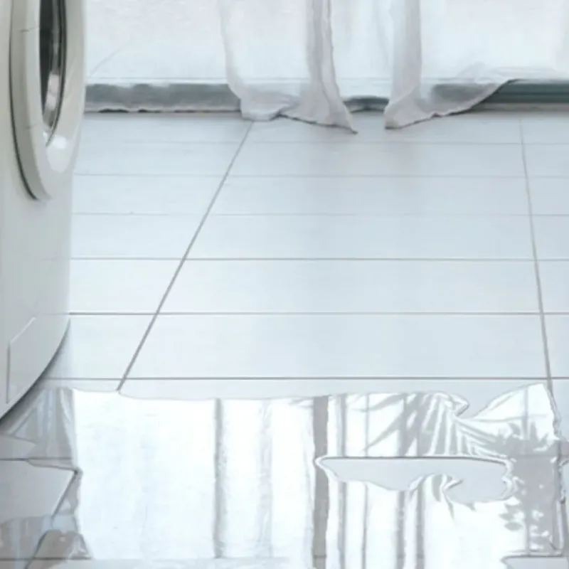 Appliance Leak Cleanup in Golden Glades, FL